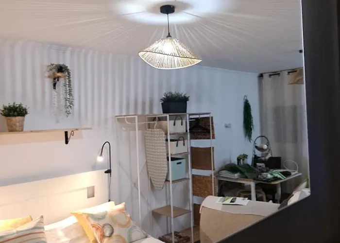 Cozy - * Seixal (Madeira)