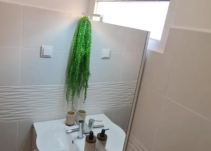 Cozy - * Seixal (Madeira)